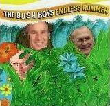 Beach Boys Endless Summer